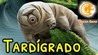 Tardígrado ou Urso Dágua Sobrevivência no Espaço ENG subtitles  Ciências Biológicas [upl. by Siuqram]