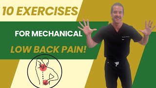 Top 10 Exercises for Lower Back Pain Relief [upl. by Annairba]