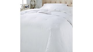 Concierge Collection Platinum Goose Down Comforter Twin [upl. by Materi]