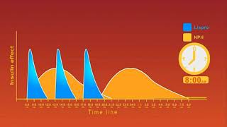 Insulin Regimens animation [upl. by Bucky]