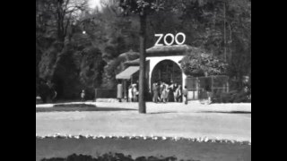 Zoo di Milano [upl. by Ful]