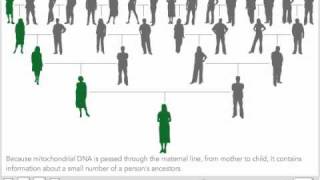 Mitochondrial DNA [upl. by Melisandra209]