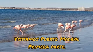 Visitamos Puerto Madryn [upl. by Pauletta]