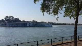 Kreuzfahrtschiff AROSA auf dem Rhein bei Rees flussaufwärts [upl. by Meid]