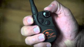 Changing the ID on Your SportDOG ECollar System [upl. by Norym]