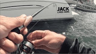 MANGROVE JACK SESSION  Fishing Coomera River [upl. by Peih]