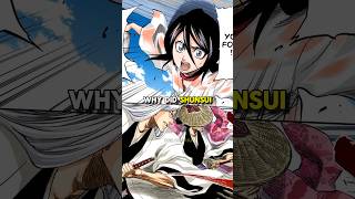 Why Did Shunsui amp Ukitake Save Rukia bleach bleachanime anime [upl. by Aissenav]