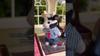 Sylvanian Drama  Divorce [upl. by Drannek]