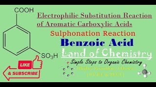 Sulphonation of benzoic acid  msulpho benzoic acid  Electrophilic Substitution Reaction Class 12 [upl. by Shimberg]