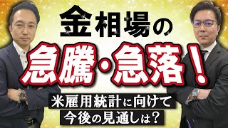 【金相場・白金相場】金価格の急騰・急落！米雇用統計に向けて今後の見通しは？ 【金先物 白金先物】 サヤ取り＆テクニカル分析でみた戦略と見通し 12月6日（水） 商品先物 [upl. by Jard]