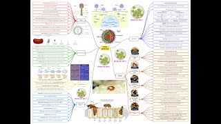 Viral Disease Vodcast [upl. by Mitchiner]