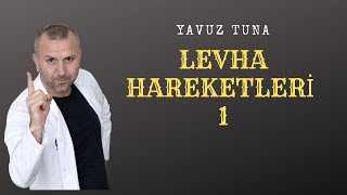 LEVHA HAREKETLERİ 1 tytcoğrafya aytcoğrafya coğrafya kpsscoğrafya [upl. by Fred]