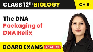 The DNA  Packaging of DNA Helix  Class 12 Biology Chapter 5  CBSE 202425 [upl. by Frey]