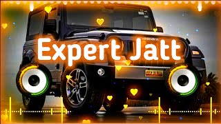 Expert Jatt DJ song 🎧 [upl. by Aihsyak]