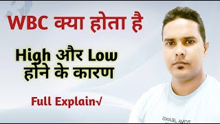 WBC Explain in hindi  WBC test in hindiWhite blood cells count  Total Leukocytes count [upl. by Seavir546]