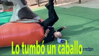 EL ABUELO LO TUMBÓ el caballo 😱en bufet la herradura Culiacan Sinaloa [upl. by Aicelet]