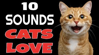 Kittens Meowing Sound Effects [upl. by Freddy958]