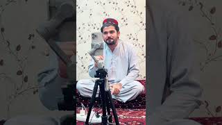 ملي شهيد ګيلامن وزير GilamanWazir duet manzoorpashteen gilaman ptm pti unfrezzmyaccount X [upl. by Drue]