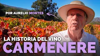 La Historia del Carmenere [upl. by Shirah]