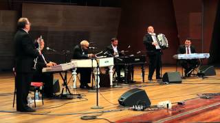 Nicolae Feraru and his Romanian Gypsy Band  Ederlezi feat Bane Djordjevic [upl. by Novaat]