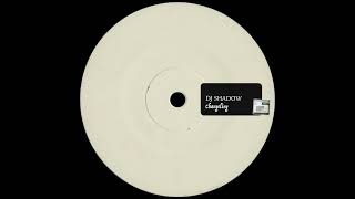 DJ Shadow  Changeling 1996 Mo Wax [upl. by Glover]