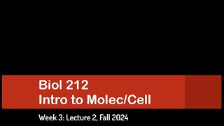 CSULB Biol 212 Fall 2024  Week 3 Lecture 2 [upl. by Annauqal]