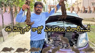 ఎలుకల నుండి మీ కార్ ను ఇలా కాపాడుకోండిటిప్స్ అండ్ ట్రిక్స్ తెలుసుకోండి [upl. by Stephani]