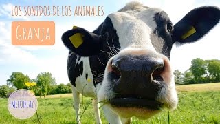 Sonidos de Animales de Granja para bebés y niños [upl. by Hollerman]