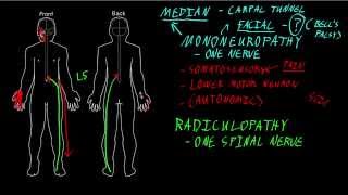 Mononeuropathy and radiculopathy [upl. by Noved]