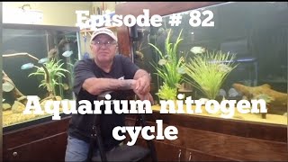 aquarium nitrogen cycle explained [upl. by Espy]