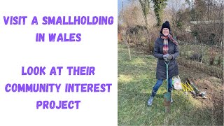 Smallholding In Wales  Life On A Smallholding UK [upl. by Eessac]