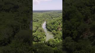 Experience TRUE NATURE at Copal Tree Lodge belize belizevacation travel vacation explorebelize [upl. by Ducan]