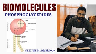 PHOSPHOGLYCERIDESGLYCEROPHOSPHOLIPIDSLIPIDSBIOMOLECULESBIOCLASSES [upl. by Anoek]