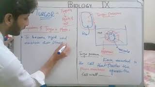 9 class Biology unit 4 Lecture 18 Turgor its importance and Plasmolysis in Plants [upl. by Sayers]