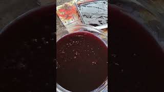 SAGU DE VINHO TINTO SUAVE E SUCO DE UVA INTEGRAL 🍇UMA DELÍCIA RECEITA AQUI NO CANAL receitas💜 [upl. by Harve149]