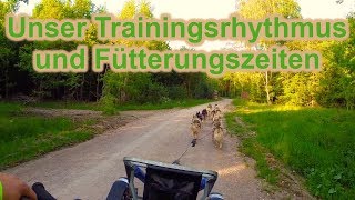 Zughundesport  Trainingsrhythmus und Fütterungszeiten  Hundetraining  Nature Trails [upl. by Julietta]