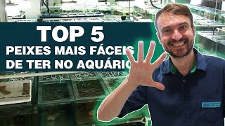 PEIXES MAIS FÁCEIS DE CUIDAR  TOP 5 Aquário de Água Doce [upl. by Frendel]