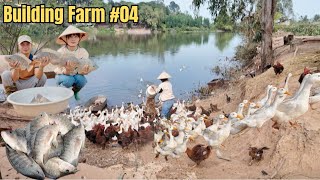 04  Harvesting fishs and cabbages to sell  Trang Farm [upl. by Spieler]