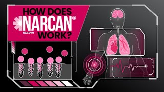 How Does NARCAN Nasal Spray Work [upl. by Enoed]