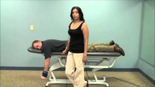 Scapular Exercises lying face down—Using Wrist Weights [upl. by Ainomar763]