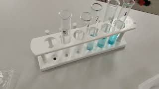 Colorimetry Lab Walkthrough Corrected [upl. by Louth]