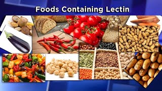 Lectins The New Diet Enemy [upl. by Minette]