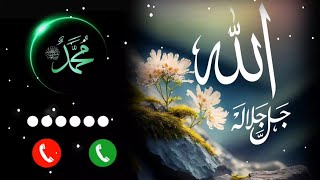 Humne Mana ki Jannat hai bahut hasin naat Shareef ringtone 🕋 naat Sharif ka ringtone trending [upl. by Wilda]