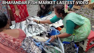 Bhayandar Fish Market  Mumbai Bhayandar Fish market  wholesale fish market in mumbai fishmarket [upl. by Shutz]