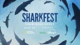 Sharkfest 2024 [upl. by Jayne82]