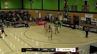 Alexandra Wittinger 27 points Highlights vs SW Slammers [upl. by Gonsalve]