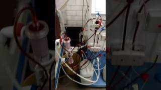 Dialysis machine ak98 gambro nrs [upl. by Yadseut]