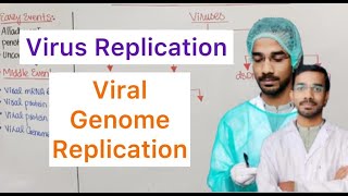 Virus Replication  Viral Genome Replication [upl. by Haerb572]