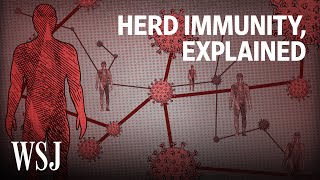 What It Would Take to Reach Herd Immunity  WSJ [upl. by Ahsetra547]