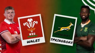 South Africa vs Wales 2023 [upl. by Callida889]